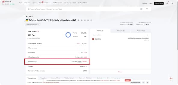Tronscan — comprobación del valor Total Energy